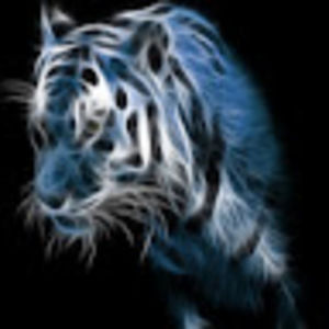 Meet your Posher, Jack